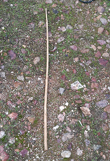 vara para varear olivos